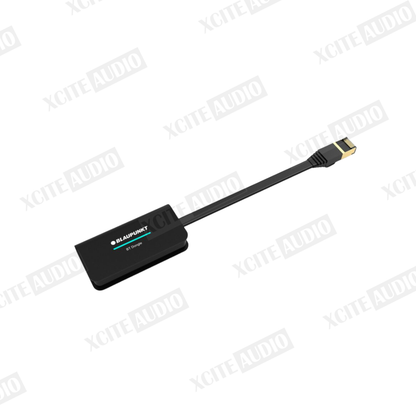 Blaupunkt VELOCITY POWER DSP WITH CLASS D AMPLIFIER MPD 11212AH 12-CH High Level Inputs